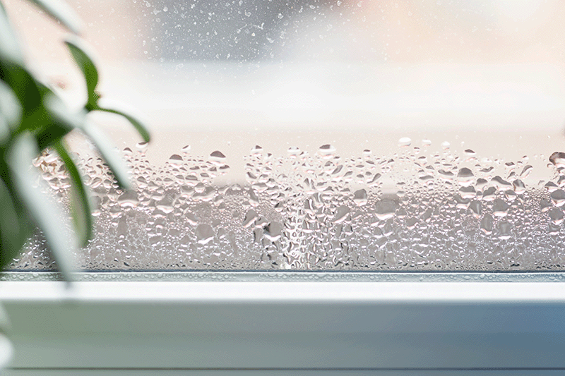 Optimal Humidity Levels in Your Home